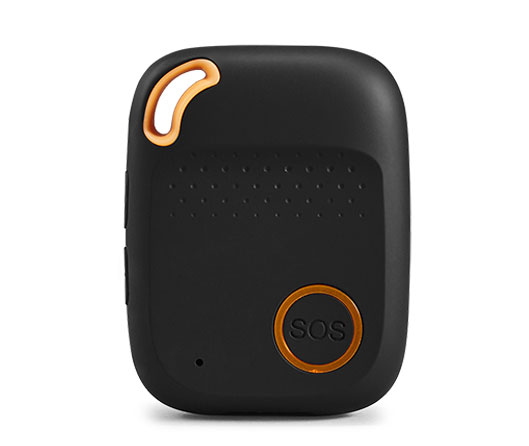 4G Pendant Locate